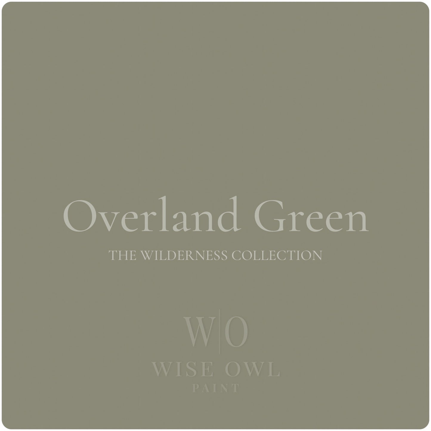 *NEW* Wise Owl One Hour Enamel -Overland Green