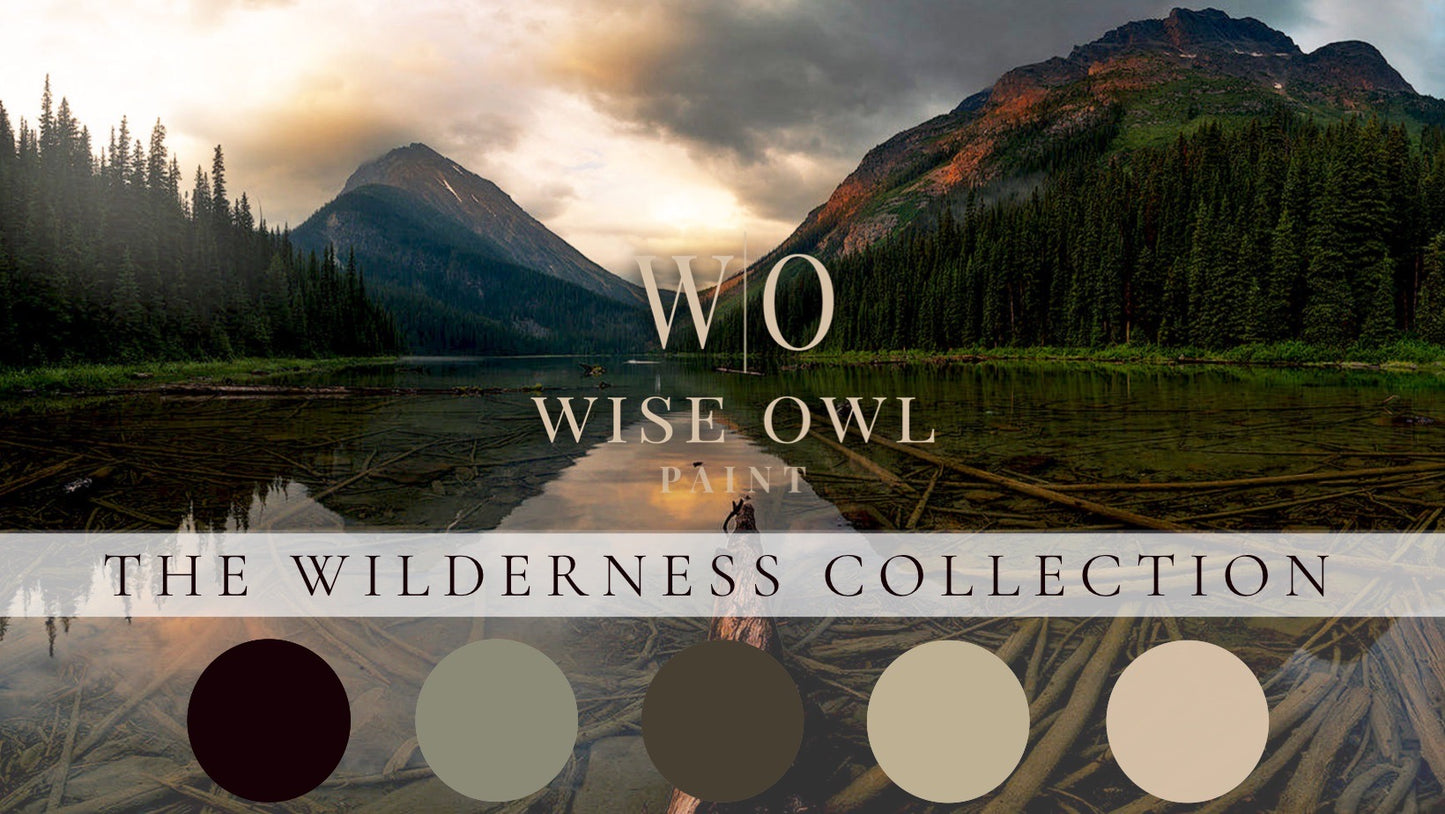 *NEW* Wise Owl One Hour Enamel - Weathered Bronze